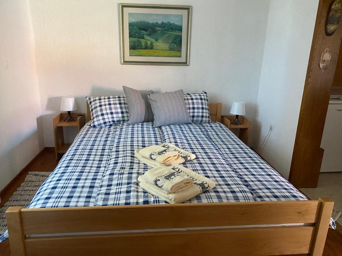 Ruralna Kuca 'Villa Zagorka' Za Odmor Sa Bazenom I Bocalistem Donja Pacetina Exterior photo