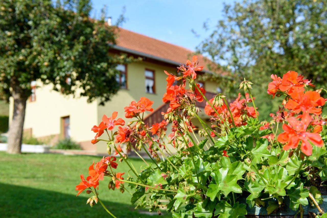 Ruralna Kuca 'Villa Zagorka' Za Odmor Sa Bazenom I Bocalistem Donja Pacetina Exterior photo