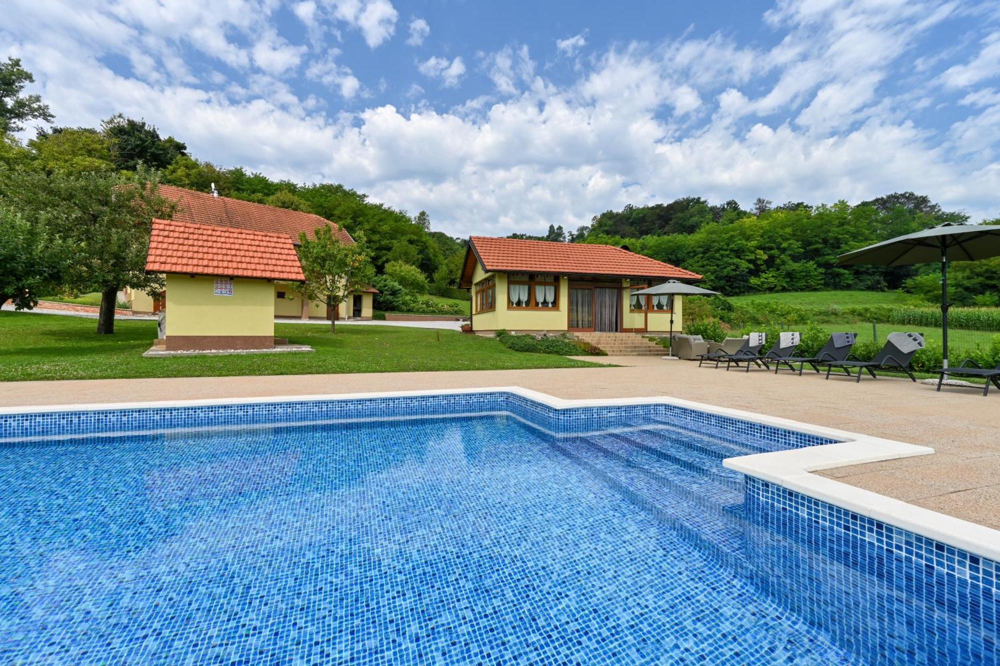 Ruralna Kuca 'Villa Zagorka' Za Odmor Sa Bazenom I Bocalistem Donja Pacetina Exterior photo