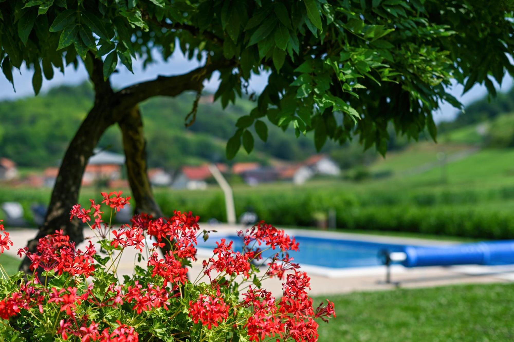 Ruralna Kuca 'Villa Zagorka' Za Odmor Sa Bazenom I Bocalistem Donja Pacetina Exterior photo